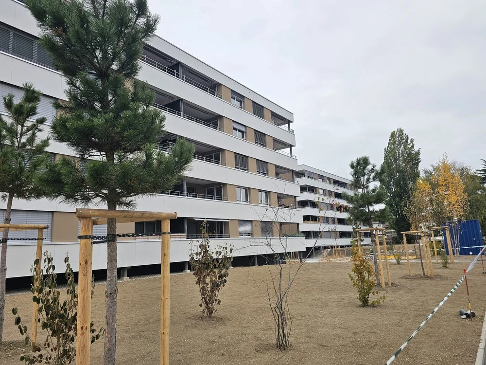 Rénovation & laine de roche à Morges, réalisation DOK Façades